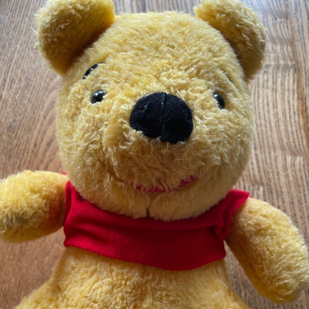 Vintage SEARS Winnie the Pooh Gund Bear Rare